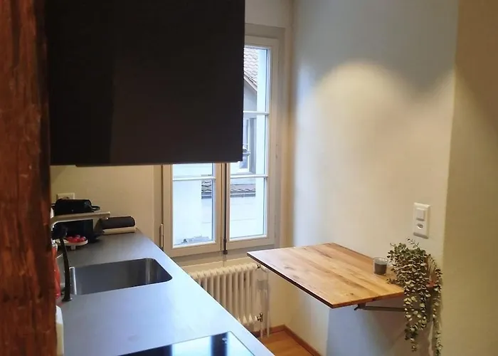 公寓 Kleines Beim Zytglogge *